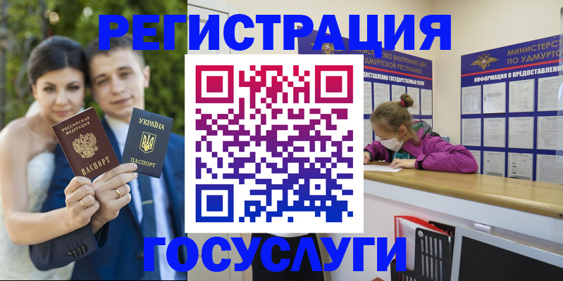 прописка поиск в Элисте